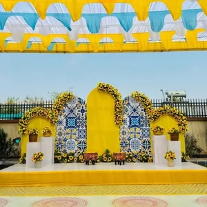 Grand Carnival Outdoor Setup Decoration Indore